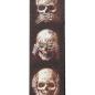 Preview: Planet Waves Gitarrengurt Skulls mit Plektrum
