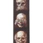 Preview: Planet Waves Gitarrengurt Skulls mit Klinkenkabel