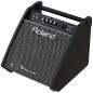 Preview: Roland PM-100 E-Drum Monitor Box mit Klinke-Kabel 3m