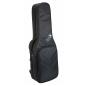 Preview: Reunion Blues RBX2E Doppel-Tasche E-Gitarre