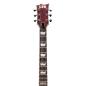 Preview: ESP LTD EC-401 E-Gitarre See Thru Cherry Sunburst