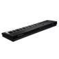Preview: Kurzweil Stage Piano KAE1-LB 88 Tasten