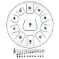 Preview: keepdrum Zungentrommel TD8WH Tongue Drum 11 Töne Weiss