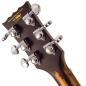 Preview: Vintage E-Gitarre V100MRGT Icon Distressed Gold Top mit Tasche und Kabel