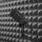 Preview: Rode Mikrofon Podmic mit WS14 Popschutz und Kabel