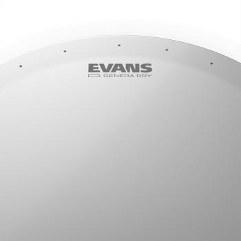 EVANS B14DRY Genera Dry Snare Fell 14