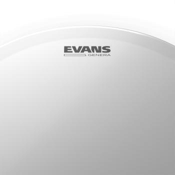 EVANS B14GEN Genera Batter Drumhead Snare Fell 14