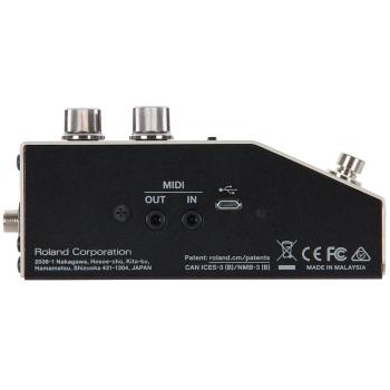 Boss DD-200 Digital Delay mit BMIDI-1-35 mitPatchkabel