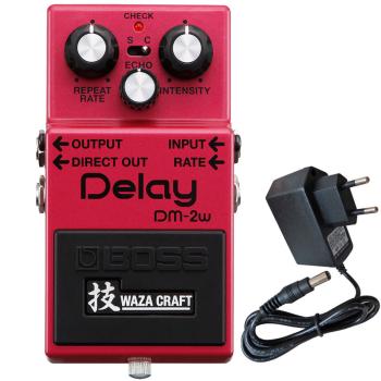 Boss DM-2w Delay Waza Edition mit 9V Netzteil