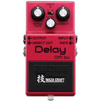 Boss DM-2w Delay Waza Edition mit Kabel