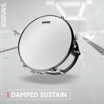 Evans ETP-G2CLR-F Clear Fell Set Fusion 10 12 14