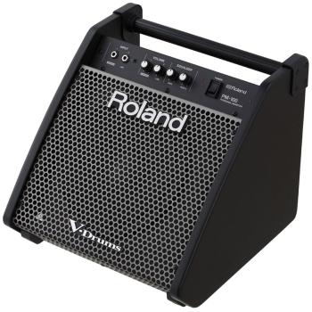 Roland PM-100 E-Drum Monitor Box mit Klinke-Kabel 3m
