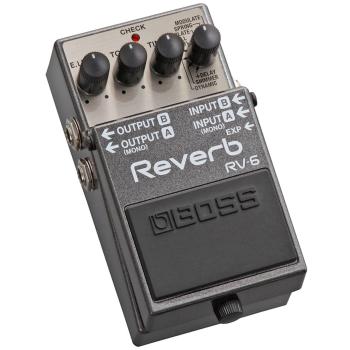 Boss RV-6 Reverb Pedal Studio-Hall