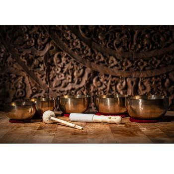 Meinl Sonic Energy SBU2950 Universal Serie Klangschalen Set inkl Schlägel und Tuch