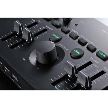 Roland VT-4 Voice Transformer