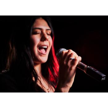 Boss WL-30XLR Drahtlos-Funksystem für Mikrofone