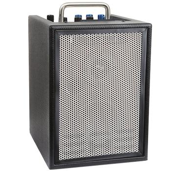 Elite Acoustics Verstärker A1-4 MKII akkubetrieben mit Kabel