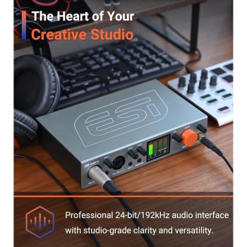 ESI USB Audio-Interface Amber i2