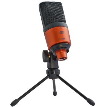 ESI Cosmik 10 Studio-Mikrofon mit Zubehör