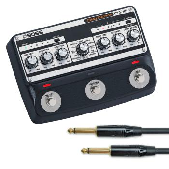 Boss DM-101 Delay Machine Effektpedal mit Kabel