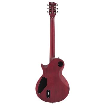 ESP LTD EC-401 E-Gitarre See Thru Cherry Sunburst mit Kabel