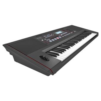 Roland E-X50 Entertainment Keyboard