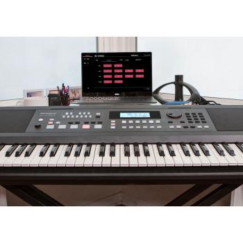 Roland E-X50 Entertainment Keyboard