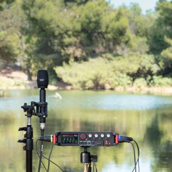 Tascam Audio-Recorder FR-AV4 4-Spur Feldrecorder mit Speicherkarte