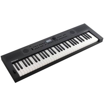 Roland Keyboard GO:Keys 5 GT Graphit