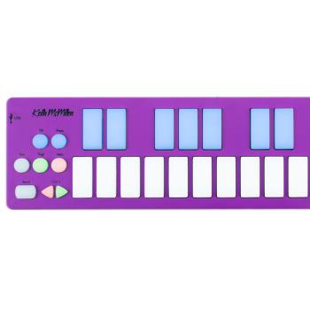 Keith McMillen K-Board MIDI-Controller Orchid