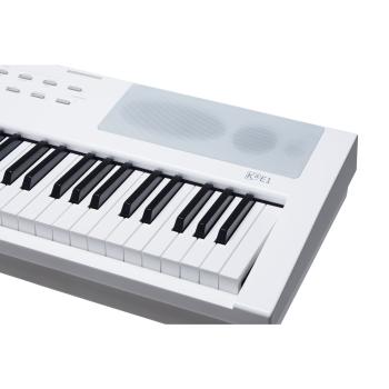 Kurzweil Stage Piano KAE1-WH 88 Tasten mit Ständer