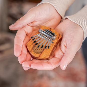 Meinl Sonic Energy KL802FOL Mini Kalimba
