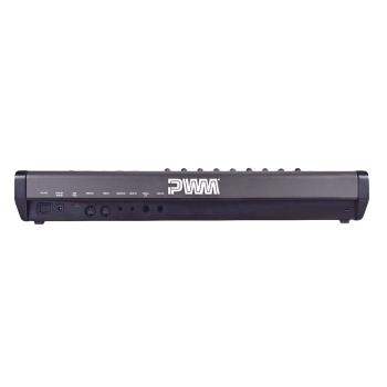 PWM Malevolent Synthesizer