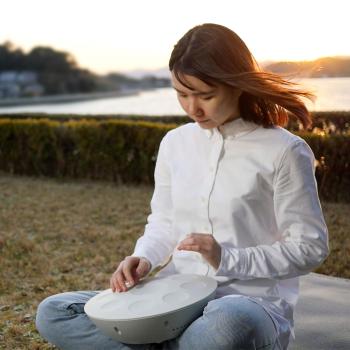 Roland Handpan MD-10 Digitale Mood-Pan