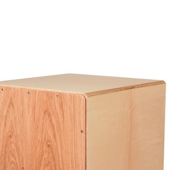 Pur Cajon PC1399 Vision Pro Ast Eiche