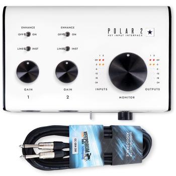 Blackstar Audio-Interface Polar 2 Interface mit Klinkenkabel