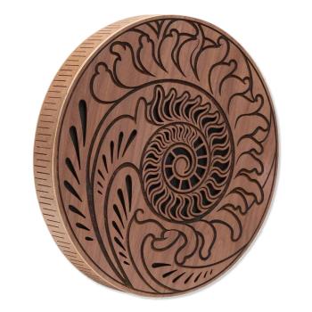 Meinl Sonic Energy Rain Disk 10 Zoll Ozean-Klang mit Stimmgabel
