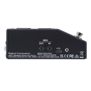 Boss SDE-3000 EVH Digital Dual Delay mit Kabel
