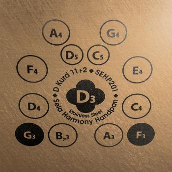 Sela Handpan SEHP201 Harmony D-Kurd Edelstahl mit Lehrbuch