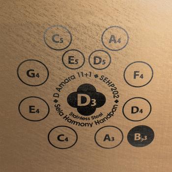 Sela Handpan SEHP202 Harmony D-Amara Edelstahl