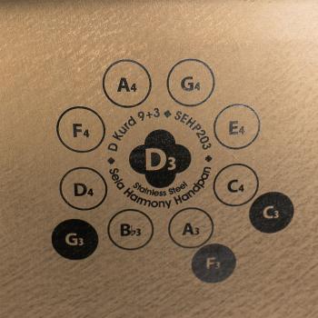 Sela Handpan SEHP203 Harmony D-Kurd Edelstahl mit Lehrbuch