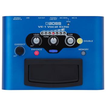 Boss Effektgerät VE-1 Vocal-Echo für Gesang mit XLR-Kabel