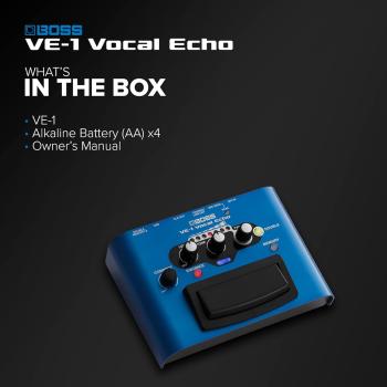Boss Effektgerät VE-1 Vocal-Echo für Gesang mit XLR-Kabel