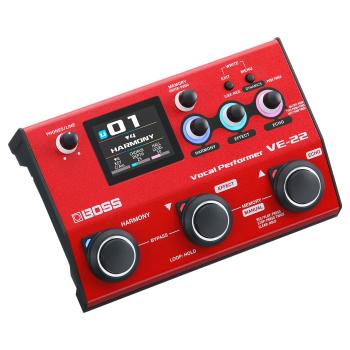 Boss VE-22 Multi-Effektgerät für Gesang mit XLR-Kabel