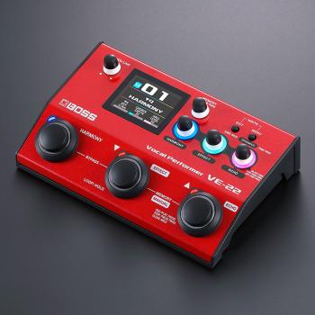 Boss VE-22 Multi-Effektgerät für Gesang mit XLR-Kabel