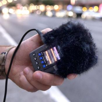 Zoom Audio-Recorder H2essential mit Windschutz WSH-2e
