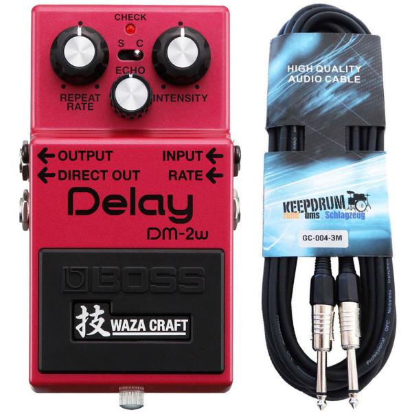 Boss DM-2w Delay Waza Edition mit Kabel