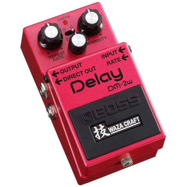 Boss DM-2w Delay Waza Edition mit Kabel