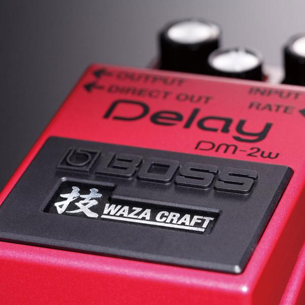 Boss DM-2w Delay Waza Edition mit Kabel