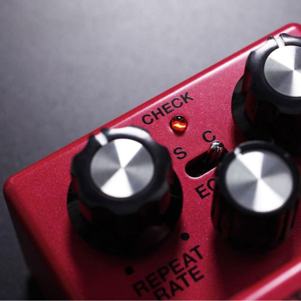 Boss DM-2w Delay Waza Edition mit Kabel